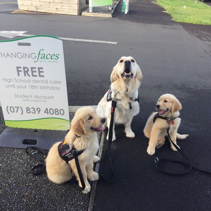 Skye  – Changing Faces